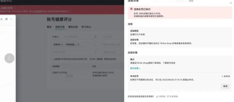风口转向:TikTok Shop “封号潮” 背后,跨境电商何去何从